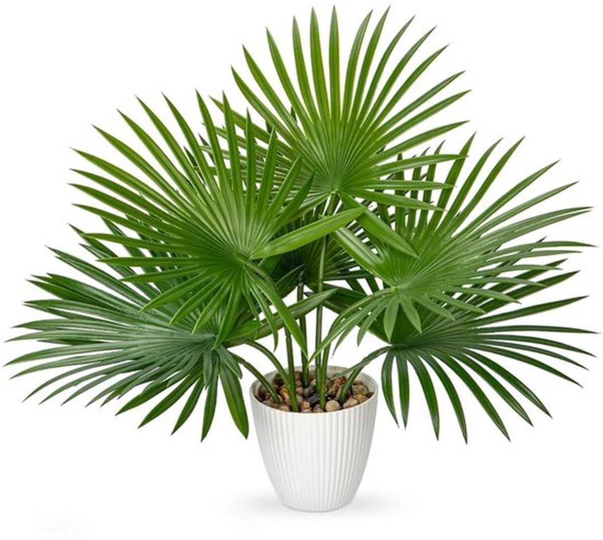 - Kunstplant Palm - Tropische Decoratie - 38cm Hoog - Kunstplant in Pot - Perfect voor Thuis en Kantoor - Realistische Bladeren