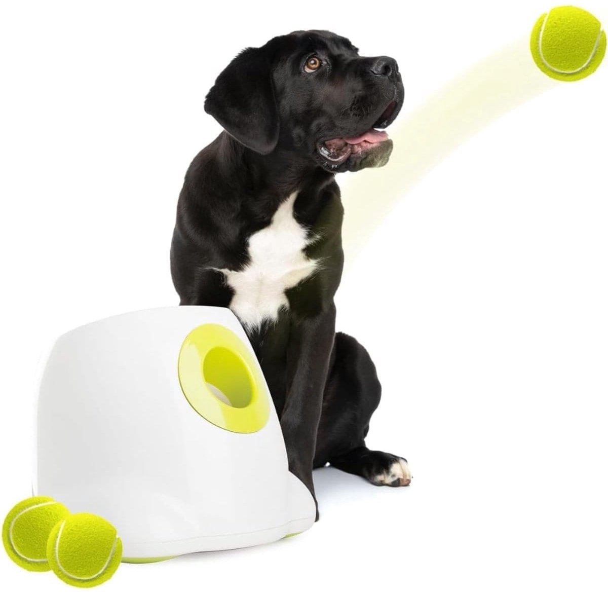 Klarven® Ballenwerper Voor Honden - Ballenwerper Hond Automatisch - Inclusief 3 Tennisballen, Oplaadbaar Zonder Batterijen - Wit - B 38 x D 38 x H 34 cm