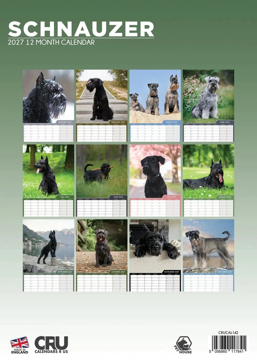 Schnauzer A3 Kalender 2027