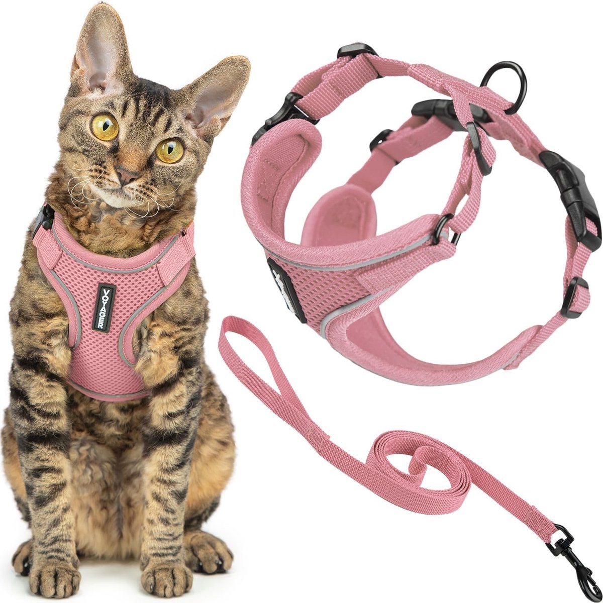 Kattenharnas en Riem Set - Zwart - Verstelbaar - Ademend Neopreen - Voor Kleine, Middelgrote en Grote Katten
