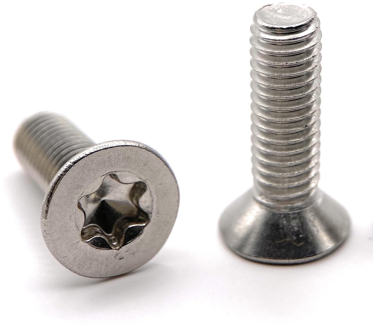 Elzusha - Set van 20 M6 x 20 mm RVS Torx Schroeven met FHC Kop