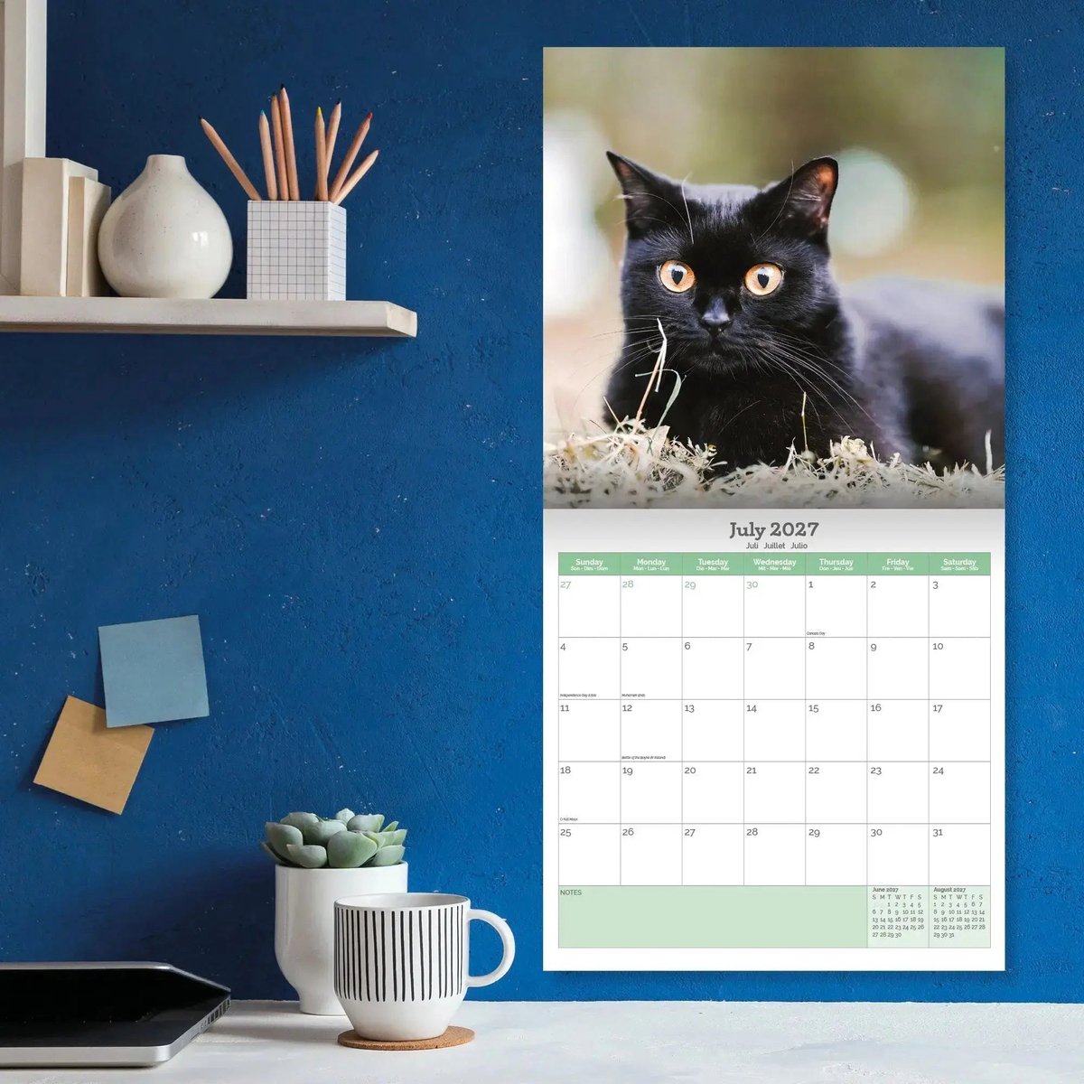 Zwarte Kittens Kalender 2027