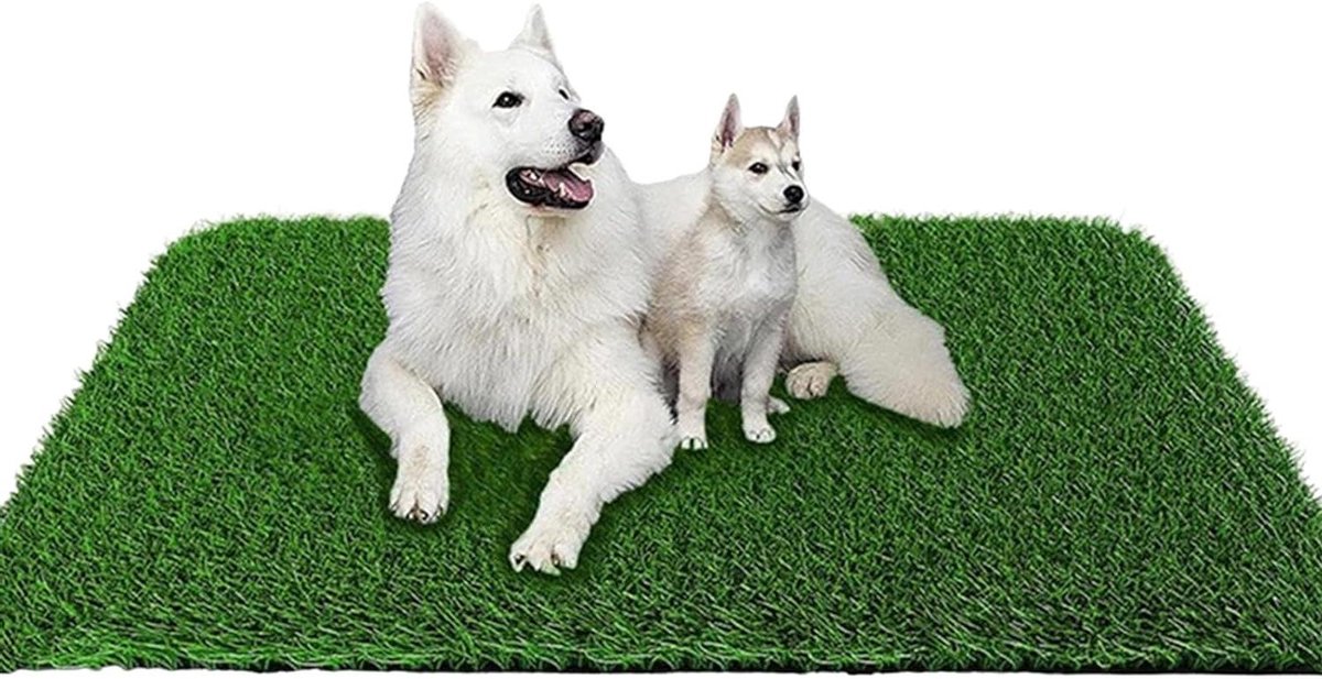 Honden Plasmat - Kunstgras Mat - Zindelijkheidstraining - Vochtabsorberend - 57x38.5 cm - Groen