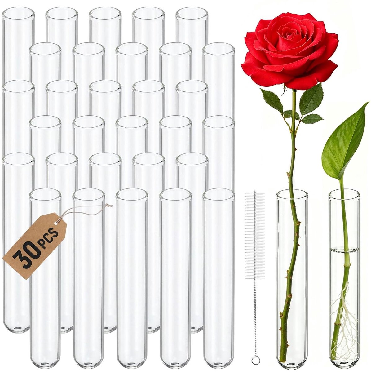 Ronde Bodem Proefbuizen met Schoonmaakborstel, 20 mm x 120 mm, Set van 30 voor Bloemen, DIY Creaties en Laboratoria
