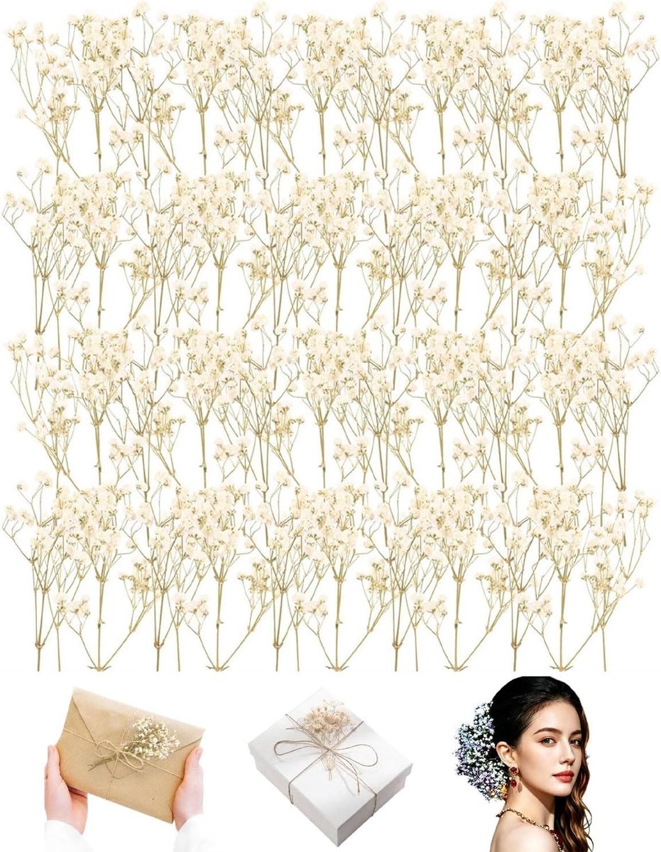 50 Stuks Gedroogde Bloemen, Natuurlijke Decoratie, Kleurvaste Mini Gypsophila voor Fotolijsten, Nail Art en Botanische Monsters