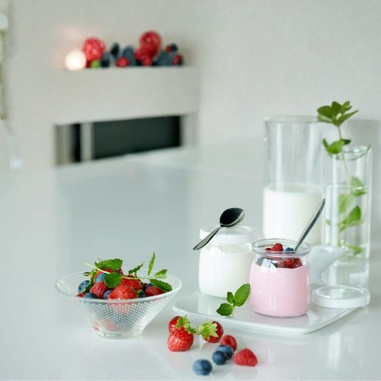 AHD® Yoghurtmaker - Ijsmachine - Yoghurtmachine - Zilver/Grijs - 25cm x 25cm x 13cm — afbeelding 2