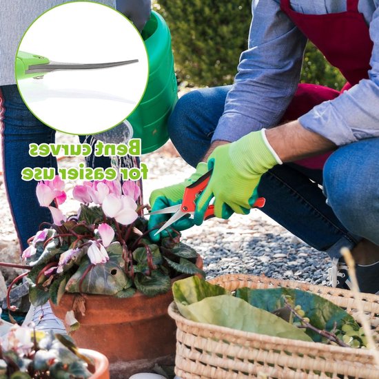 Set van 2 Tuinscharen voor Oogsten en Snoeien, Met Vergrendelbare Handgreep en Gebogen Titanium Coated Bladen, Ideaal voor Bonsai, Rozen en Planten, 16.5 cm — afbeelding 4