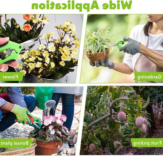 Set van 2 Tuinscharen voor Oogsten en Snoeien, Met Vergrendelbare Handgreep en Gebogen Titanium Coated Bladen, Ideaal voor Bonsai, Rozen en Planten, 16.5 cm — afbeelding 3