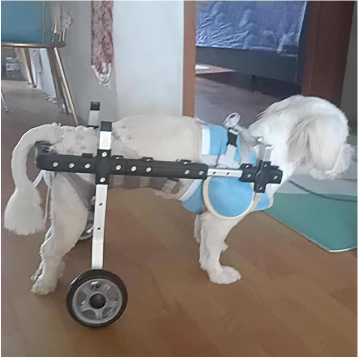 Hondenrolstoel - Hondenkar Rolstoel - Huisdier Mobiliteit - Verstelbaar Ontwerp - 2-wiel - Zilver