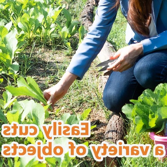 Set van 4 Tuinscharen van RVS, Snoeischaren voor Bonsai en Tuinonderhoud, Perfect voor Precisie Snoeiwerk — afbeelding 5