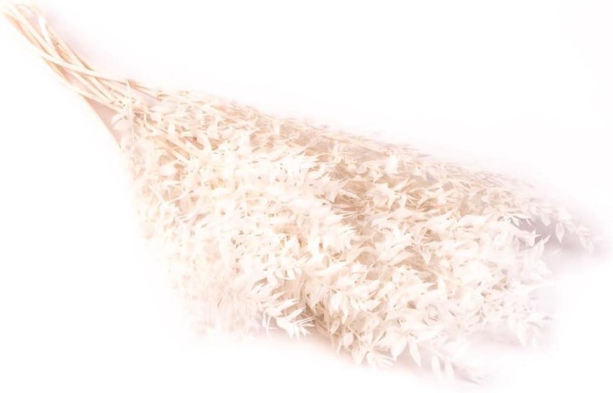 Gedroogd Boeket - Droogboeket Wit - Decoratie Huis - Natuurlijke Materialen - 75 cm - Wit