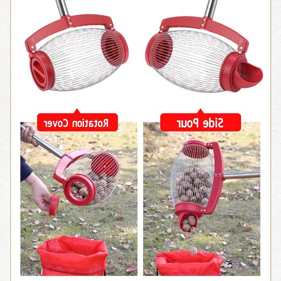 Dailygoody - Notenverzamelaar - Notenoogster - Arbeidsbesparend - Lange steel - Pecannotenplukker - Geschikt voor tuin - Walnotenverzamelaar van Merkloos	 — afbeelding 3