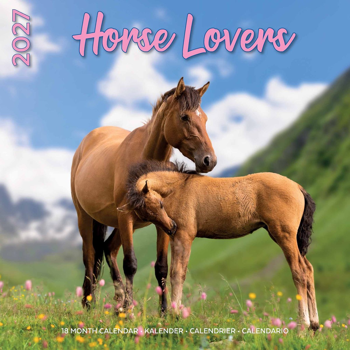Paarden Kalender 2027