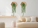 Deux plantes suspendues vertes dans des supports hexagonaux en bois sur un mur blanc.
