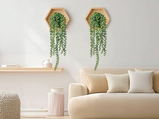 Deux plantes suspendues vertes dans des supports hexagonaux en bois sur un mur blanc.
