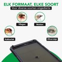 Vier afbeeldingen van insecten: een vlieg, een mot, een kakkerlak en een zilvervisje. De tekst is 'Elk formaat, elke soort'.