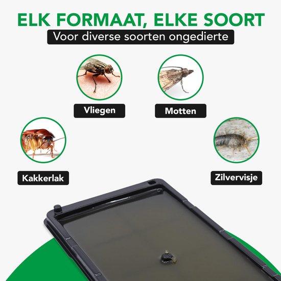 Vier afbeeldingen van insecten: een vlieg, een mot, een kakkerlak en een zilvervisje. De tekst is 'Elk formaat, elke soort'.