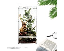 Terrarium Voor Spinnen | Acryl Luchtdoorlatend Transparant,Hagedissenverblijf en Spinnenterrarium - Voor Het Voeren Fokken Observeren Van Tarantula Bidsprinkhaan Gekko Hagedis En Insecten