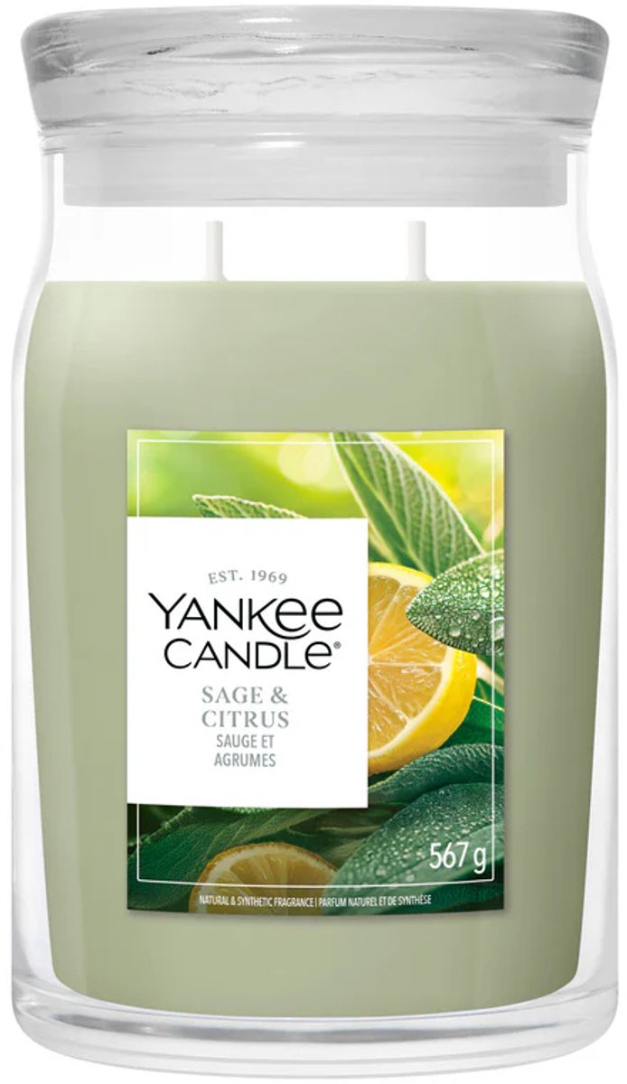 Yankee Candle Sage & Citrus Large Jar Geurkaars - 90 branduren - twee lonten Groen