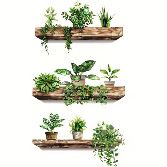 Trois étagères en bois remplies de plantes vertes, représentées en détail sur un fond blanc.