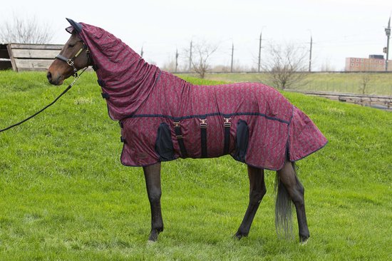 Cheval brun portant une couverture anti-mouches rouge foncé avec imprimé de petits chevaux all-over, sur une pelouse verte.