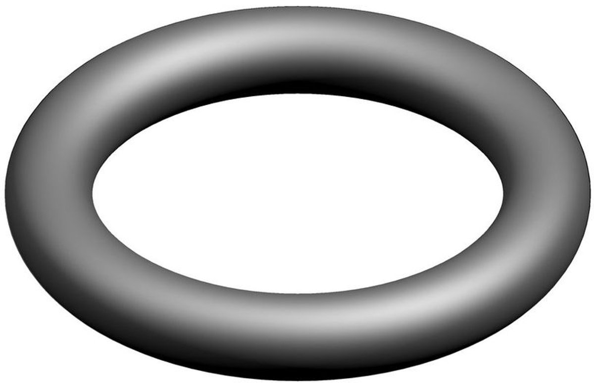 BOSCH O-ring (10x), 87002050190