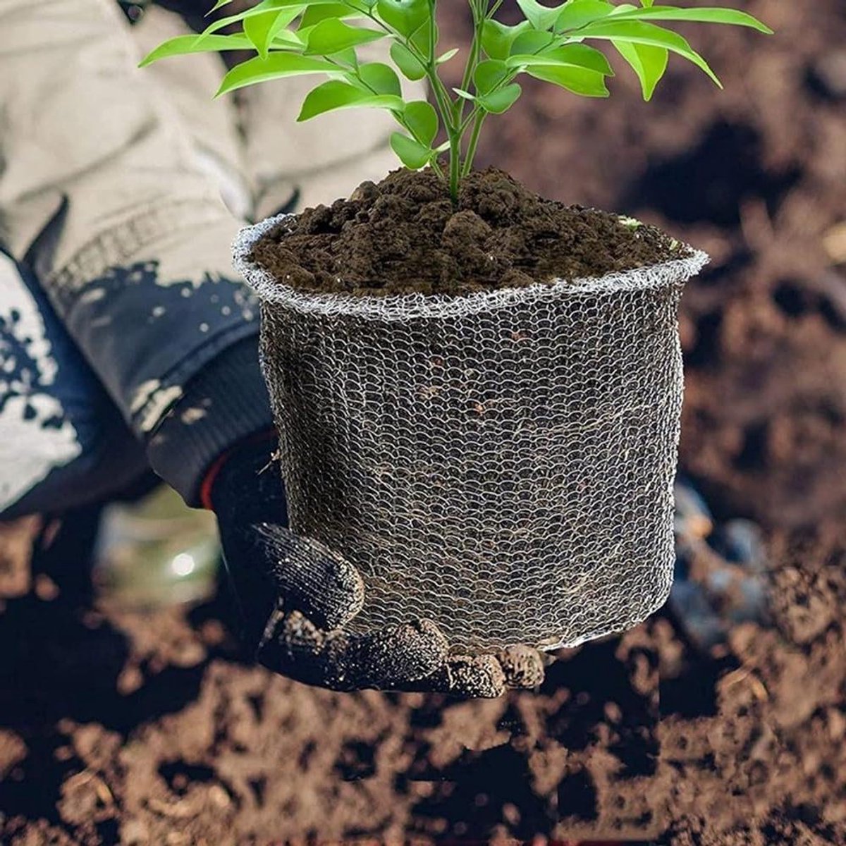 Planten Wortelbeschermers - Mesh manden - Tuin Bescherming - Roestvrij staal - 5 stuks - Zilverkleurig