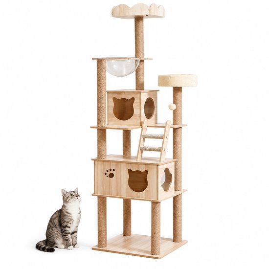 Un arbre à chat en bois à plusieurs niveaux, comprenant un bol transparent, des maisons, un hamac et des poteaux à gratter. Un chat tigré est assis à côté.