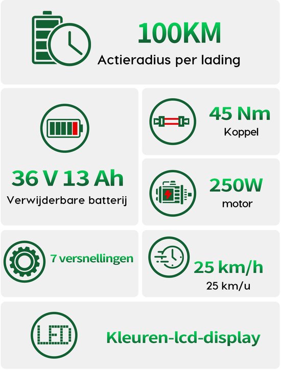 Runetic 26” Elektrische Fiets - Motor 250W - Actieradius 80km - 36V 13AH Verwijderbare Batterij - 25KM/H - Grijs — afbeelding 5