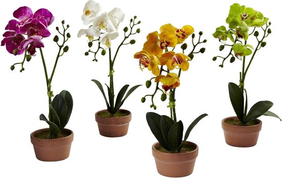 Phalaenopsis Orchidee Set - Kunstorchideeën - Woondecoratie - Natuurlijke Uitstraling - Set van 4 - Wit