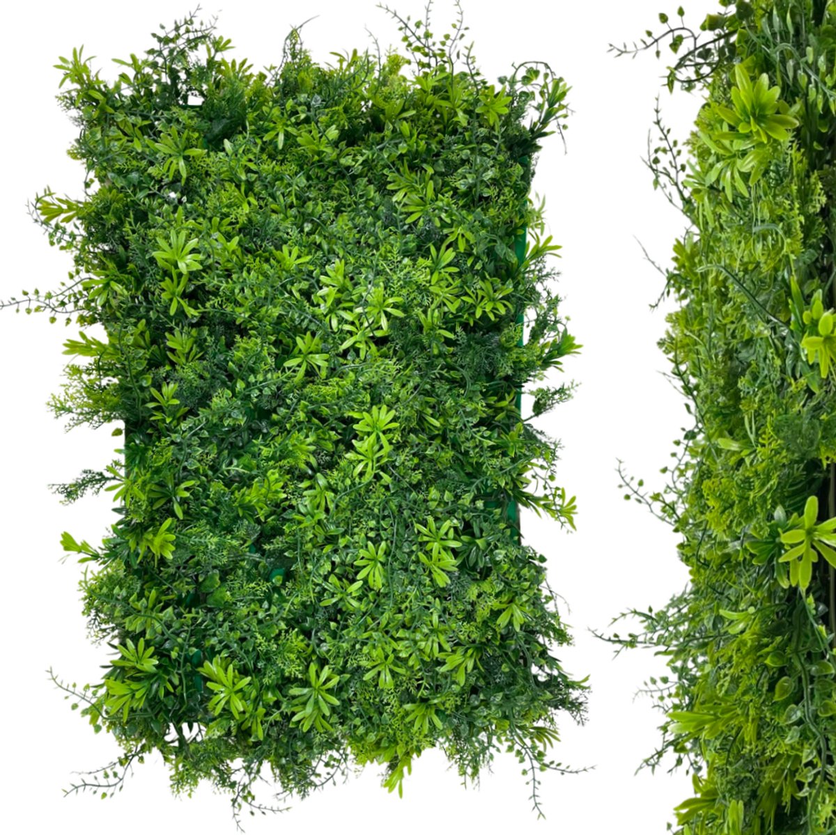 Inspiruj - Groene Wand - Filodendron en Thuja Paneel - Kunstmatige Planten