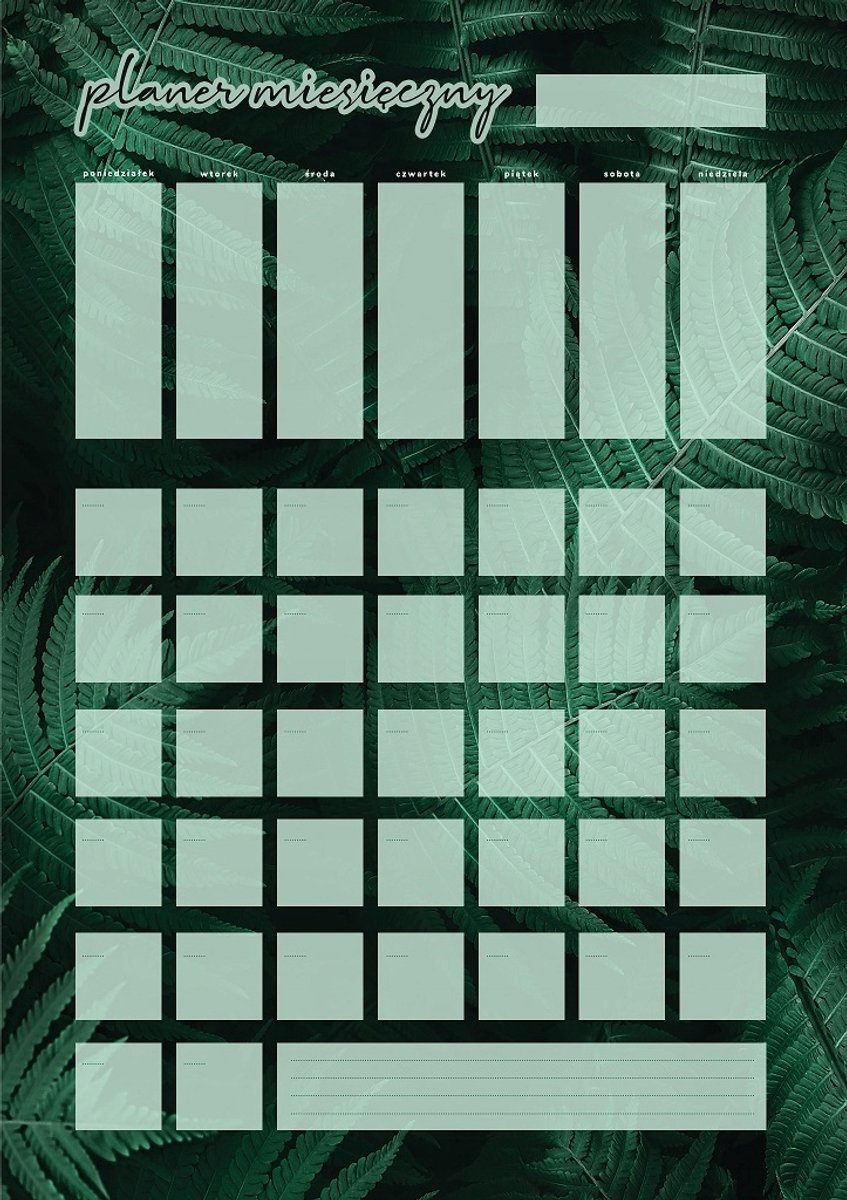 Wallvy Serie - Magnetische Kalender - 40x56cm - Maanplanner - Personaliseerbaar