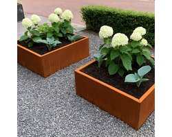 STEAEL CORTEA – Cortenstaal Plantenbak – 80 x 80 x 40 cm