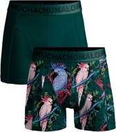 Groene Muchachomalo boxershorts met een print van roze en blauwe kaketoes en bladeren.