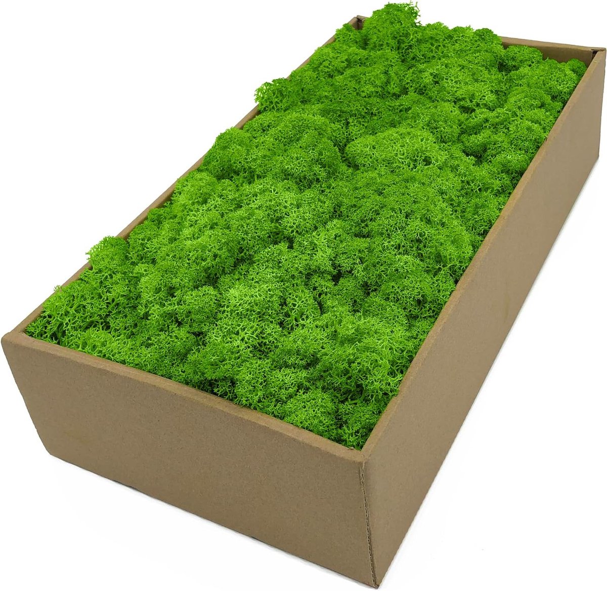 IJslands mos - Decoratie mos - Knutselen en decoreren - Geconserveerd en onderhoudsvrij - 100 g - Lichtgroen