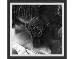 Ital Tek - Mind Abandon (LP)