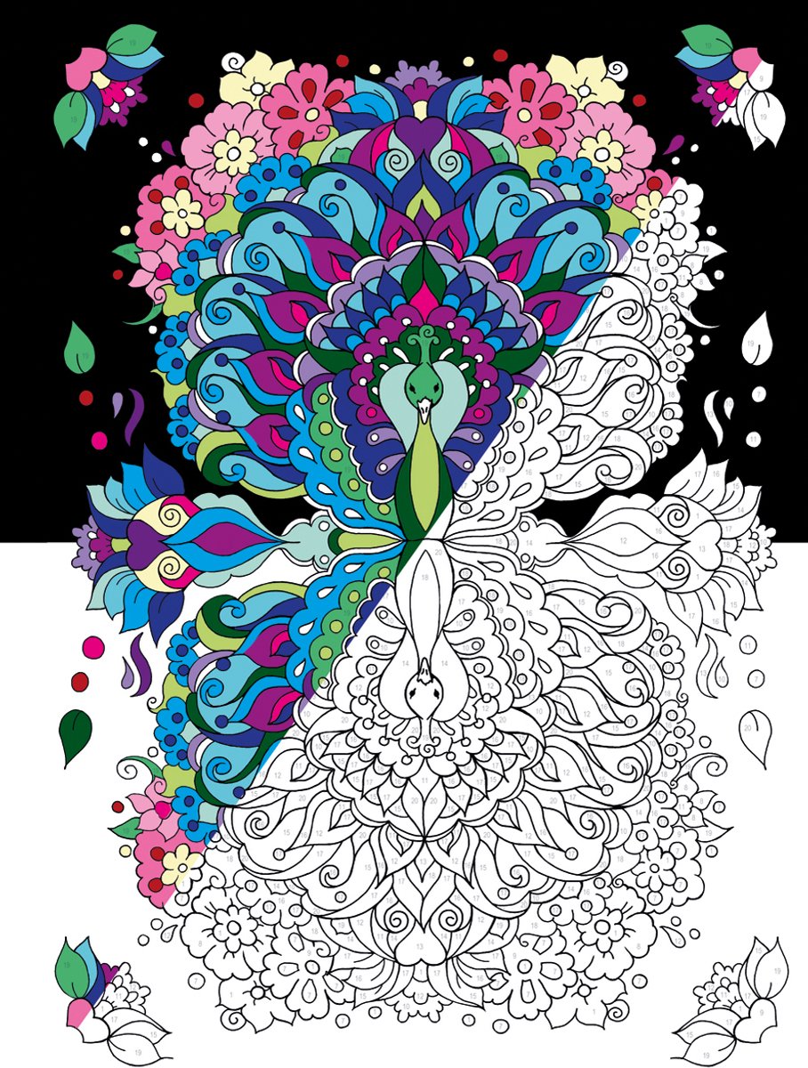 Masja van den Berg - Kleuren op nummer - Masja’s Mandala's - kleurboek voor volwassenen - dieren - bloemen — afbeelding 7