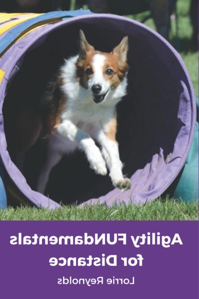 Agility Hond Boek - Hondentraining Boek - Hondensport Trainen - Afstandswerk Vaardigheden - 130 pagina's - Niet gespecificeerd
