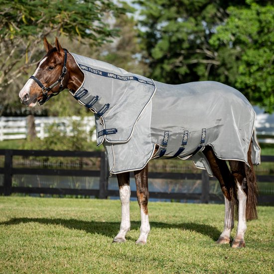 Bruin paard met grijze vliegendeken en capuchon, met blauwe en beige randen. Staat op groen gras.