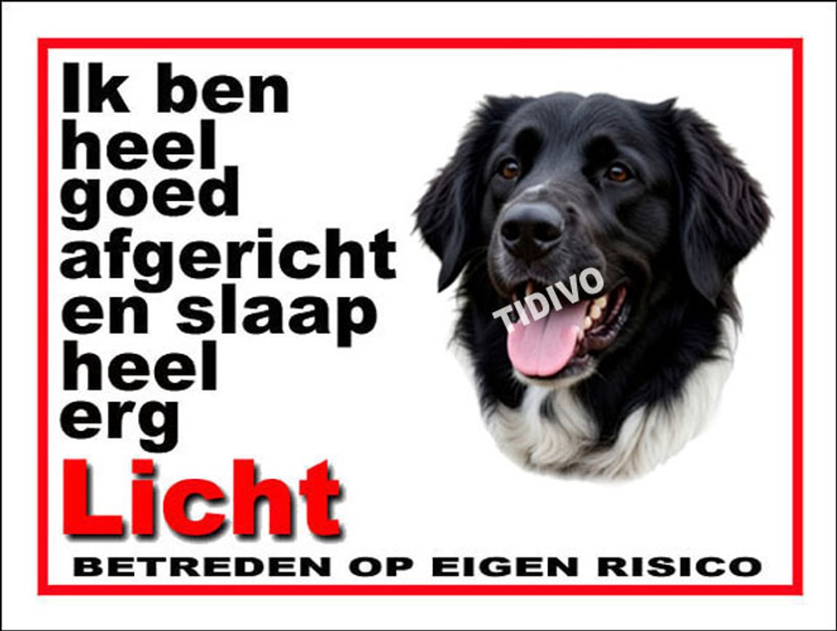 Stabijhound 4