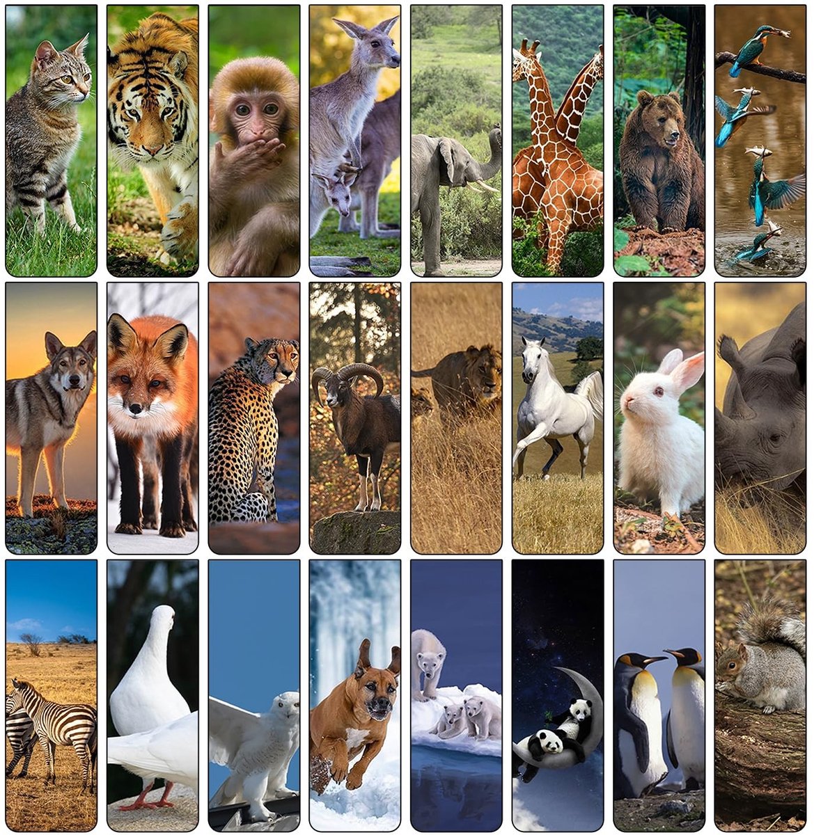 Dailygoods - 24 Dieren Magnetische Boekenleggers, Persoonlijk Maakbare Boekenleggers