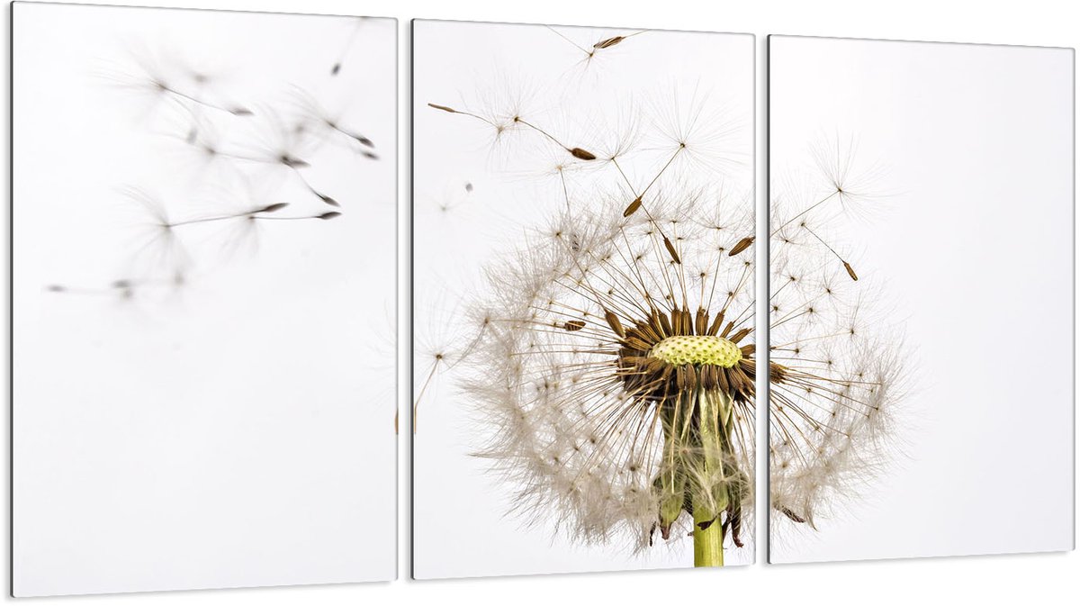 TMK ArtDeko 3x30 - Snijplank - Glas - 52cm - Antibacterieel