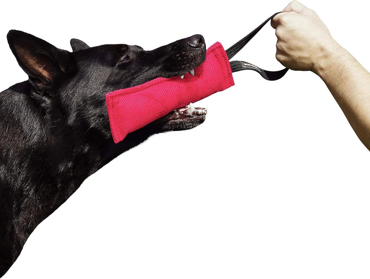 Bijtworst Hondentraining - Honden Speelgoed - Hondensport Training - Handgemaakt Kwaliteit - 28 x 7 cm - Roze