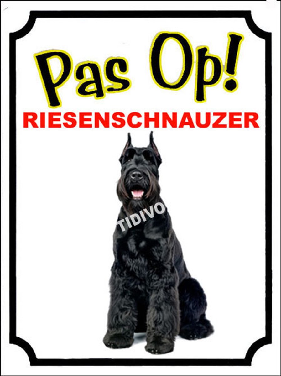 Riesenschnauzer 16