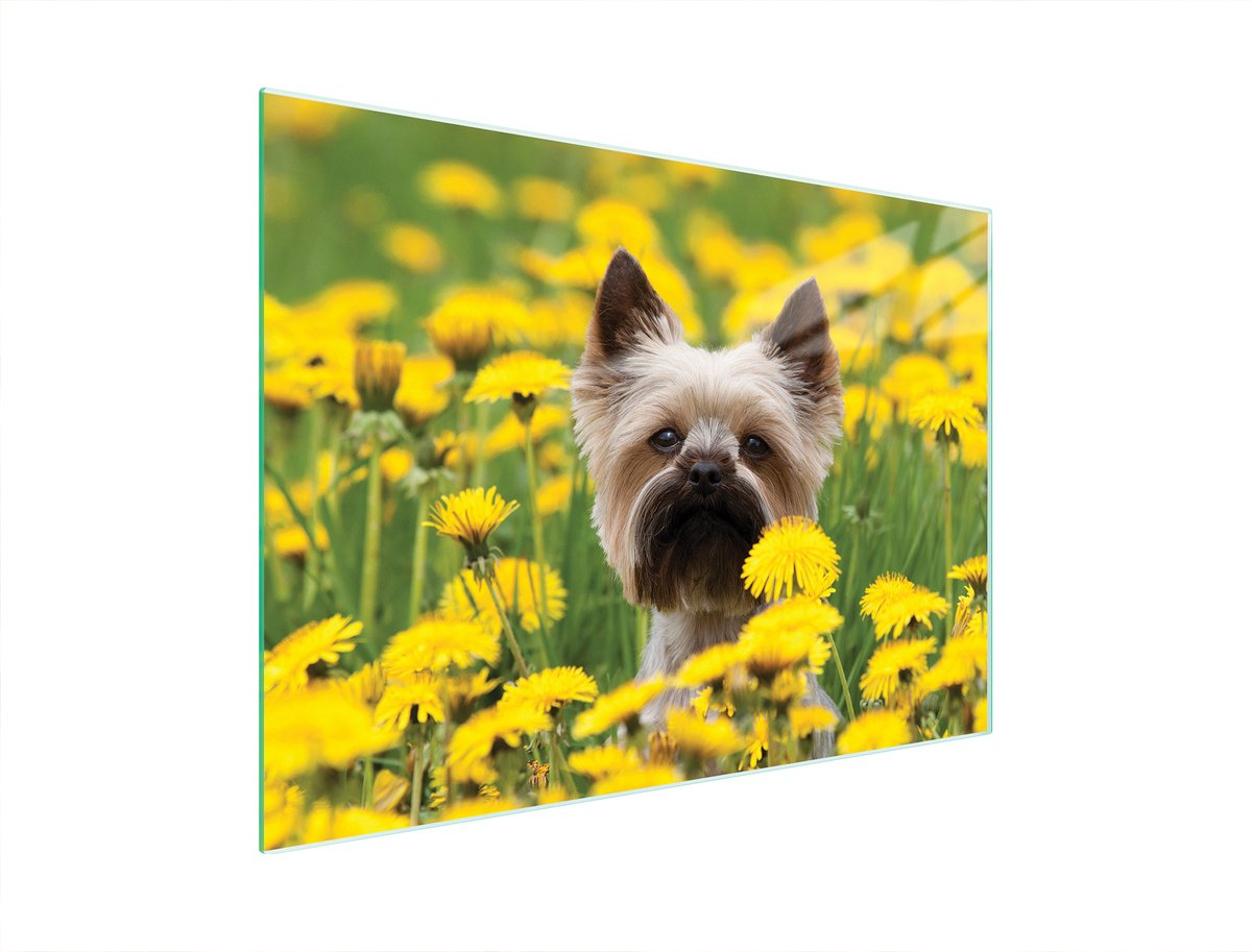 TMK ArtDeko - Snijplank - Glas - 40x30 cm - Met Hond Ontwerp