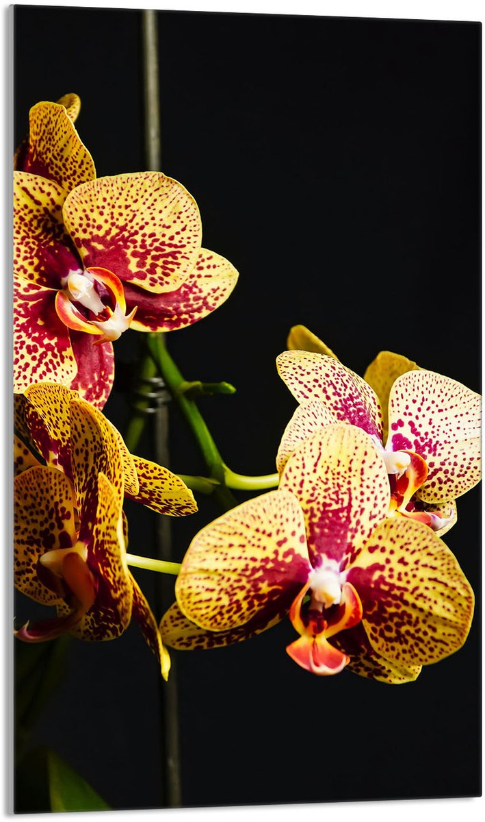 TMK ArtDeko Orchidee - Snijplank - 30x52 cm - Glas - Hartelijk Design