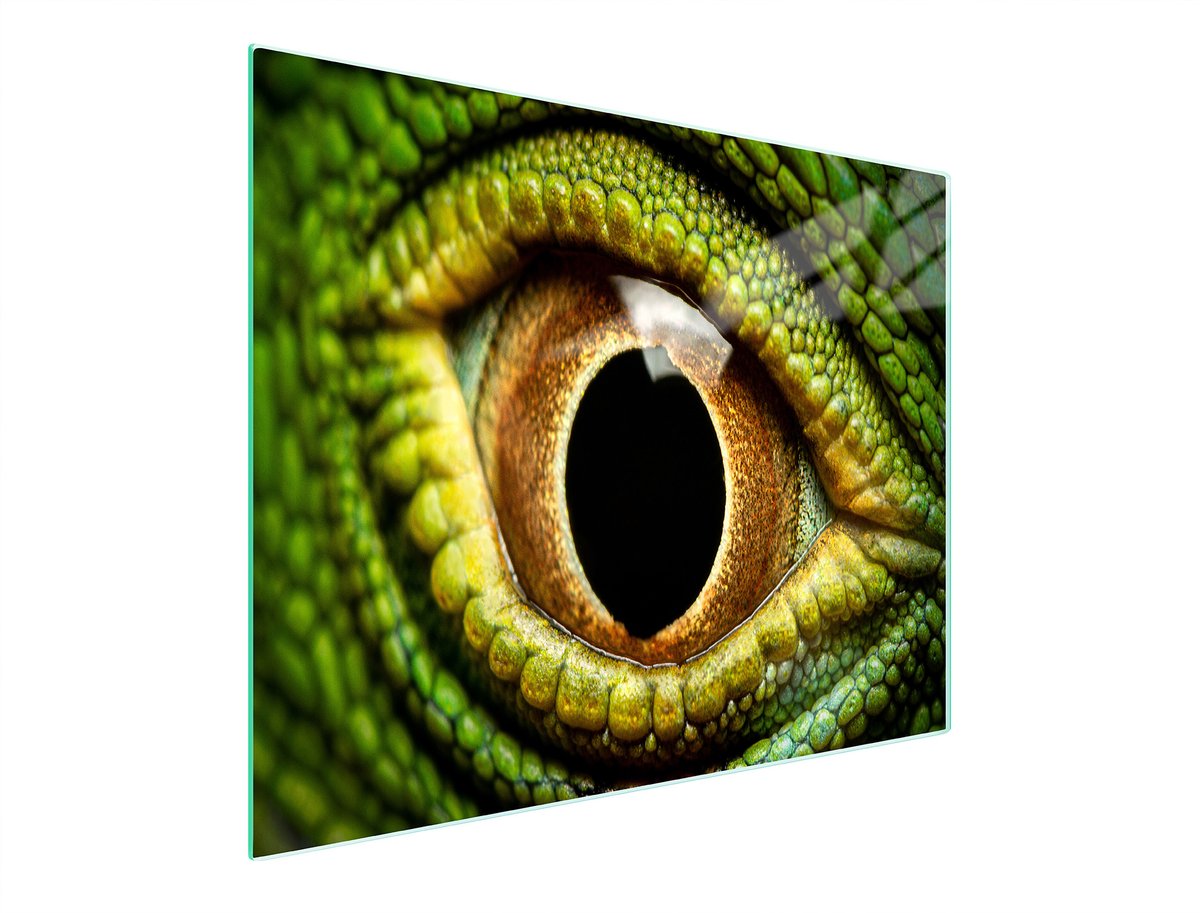 TMK ArtDeko - Snijplank Glas - 52x30 cm - UV Print - Antislip
