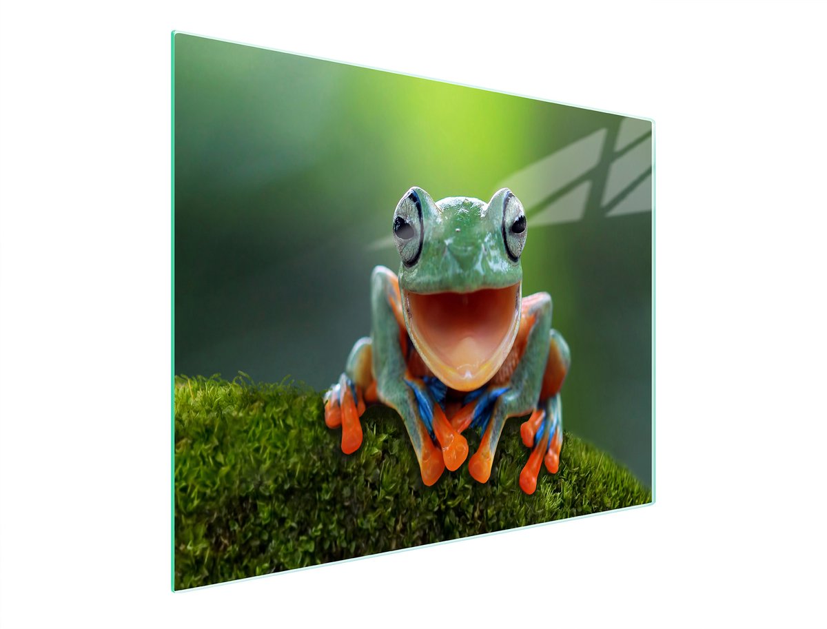 TMK ArtDeko - Snijplank - 52x30cm - Veilig - Esthetisch