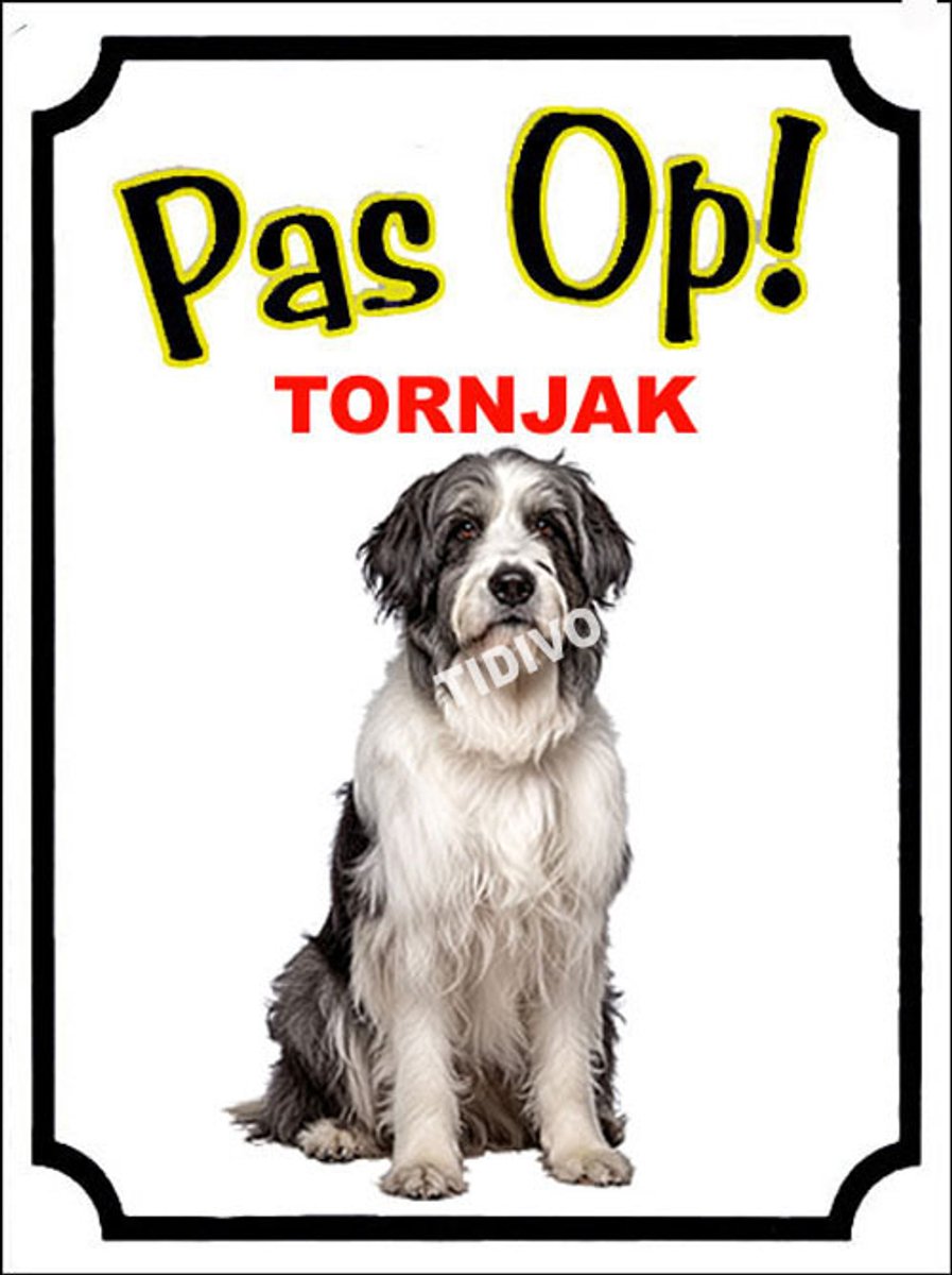 Tornjak 16