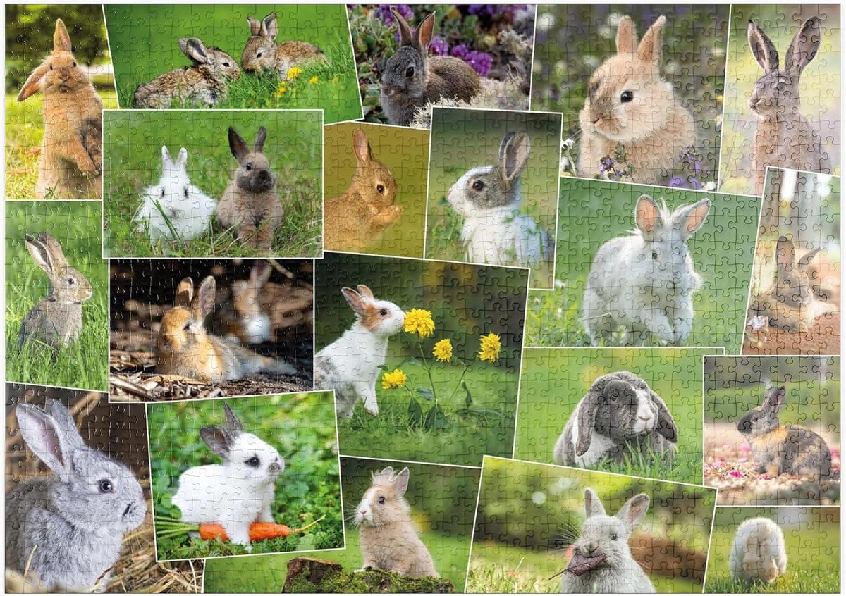 Legpuzzel - Dierenpuzzel - Ontspanning - Hoge resolutie print - 1000 stukjes - Levendige kleuren
